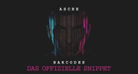 Asche Barcodes I Snippet