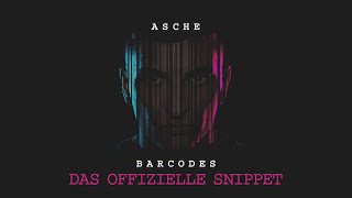 Asche Barcodes I Snippet