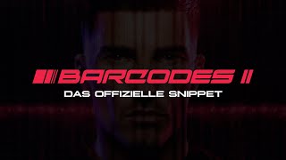Asche Barcodes II Snippet