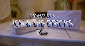 CAMAELEON ICH UND DIE BRICKS