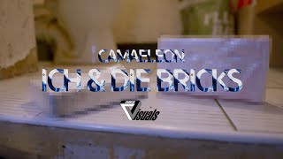 CAMAELEON ICH UND DIE BRICKS