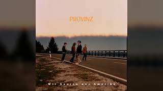 Provinz Wenn die Party vorbei ist (Official Audio)