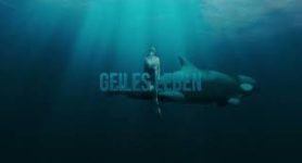 Sarah Connor Geiles Leben (Offizieller Visualizer)